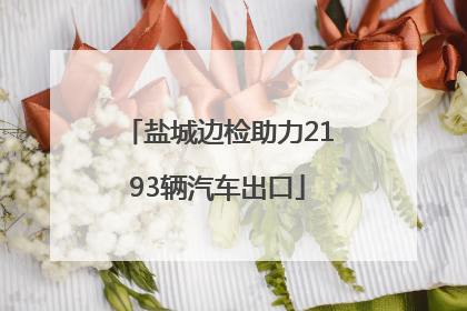 盐城边检助力2193辆汽车出口