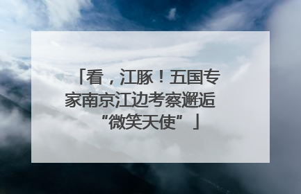 看，江豚！五国专家南京江边考察邂逅“微笑天使”