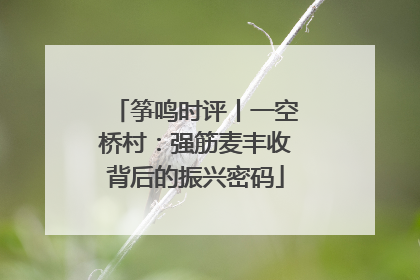 筝鸣时评丨一空桥村：强筋麦丰收背后的振兴密码