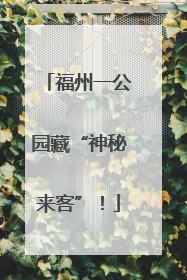 福州一公园藏“神秘来客”！