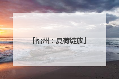 福州：夏荷绽放