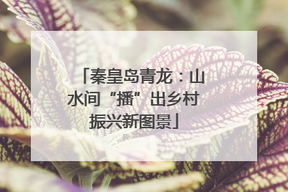 秦皇岛青龙：山水间“播”出乡村振兴新图景