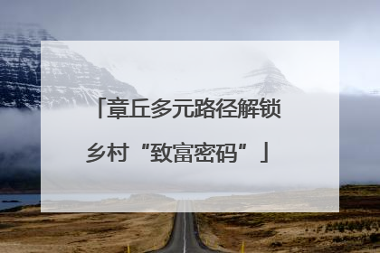 章丘多元路径解锁乡村“致富密码”