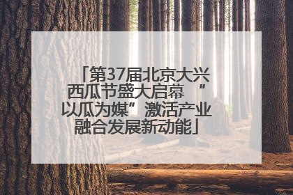 第37届北京大兴西瓜节盛大启幕 “以瓜为媒”激活产业融合发展新动能