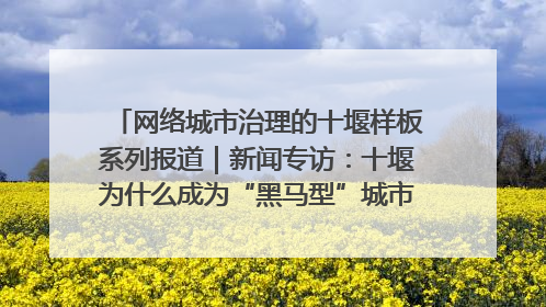 网络城市治理的十堰样板系列报道｜新闻专访：十堰为什么成为“黑马型”城市治理网络维度典型
