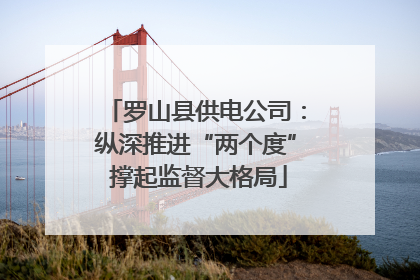 罗山县供电公司：纵深推进“两个度” 撑起监督大格局