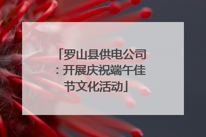 罗山县供电公司：开展庆祝端午佳节文化活动
