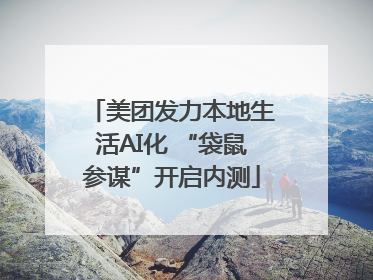 美团发力本地生活AI化 “袋鼠参谋”开启内测