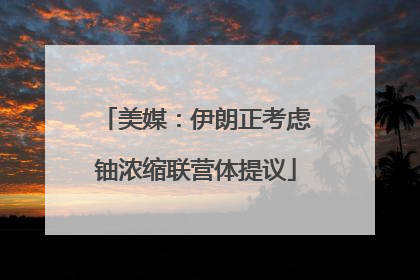 美媒：伊朗正考虑铀浓缩联营体提议
