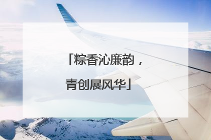 粽香沁廉韵，青创展风华