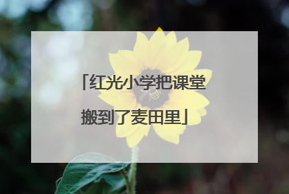 红光小学把课堂搬到了麦田里