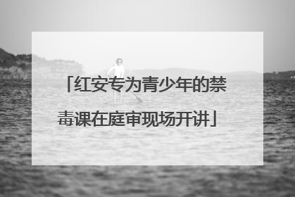 红安专为青少年的禁毒课在庭审现场开讲