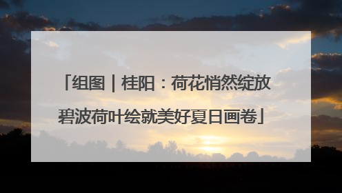 组图｜桂阳：荷花悄然绽放 碧波荷叶绘就美好夏日画卷