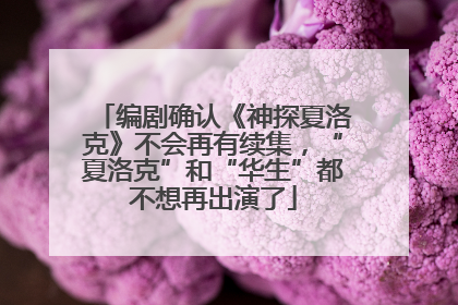 编剧确认《神探夏洛克》不会再有续集，“夏洛克”和“华生”都不想再出演了