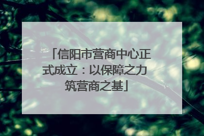 信阳市营商中心正式成立：以保障之力 筑营商之基