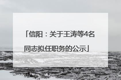 信阳：关于王涛等4名同志拟任职务的公示