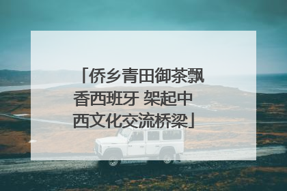 侨乡青田御茶飘香西班牙 架起中西文化交流桥梁