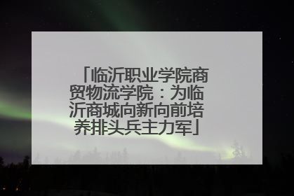 临沂职业学院商贸物流学院：为临沂商城向新向前培养排头兵主力军