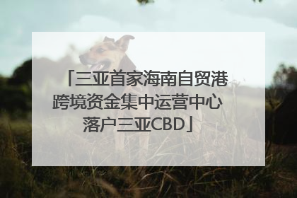 三亚首家海南自贸港跨境资金集中运营中心落户三亚CBD