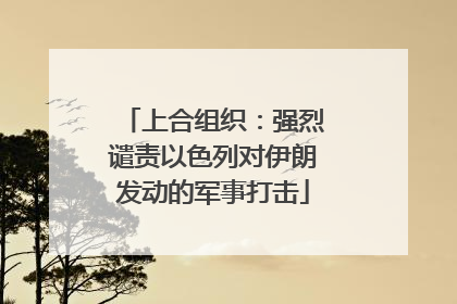 上合组织：强烈谴责以色列对伊朗发动的军事打击