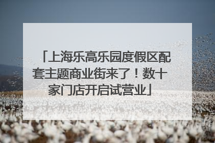 上海乐高乐园度假区配套主题商业街来了！数十家门店开启试营业