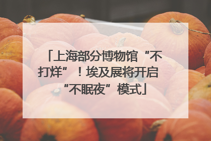 上海部分博物馆“不打烊”！埃及展将开启“不眠夜”模式