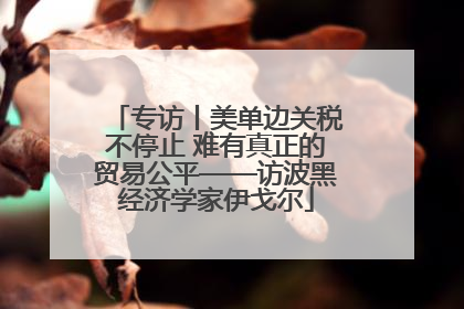 专访丨美单边关税不停止 难有真正的贸易公平——访波黑经济学家伊戈尔