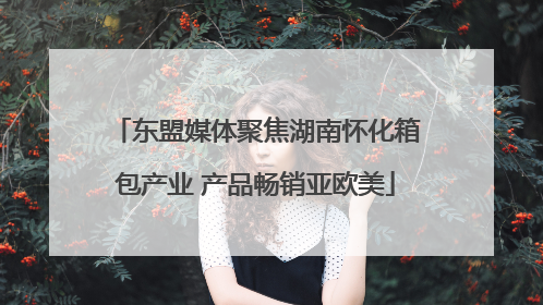 东盟媒体聚焦湖南怀化箱包产业 产品畅销亚欧美