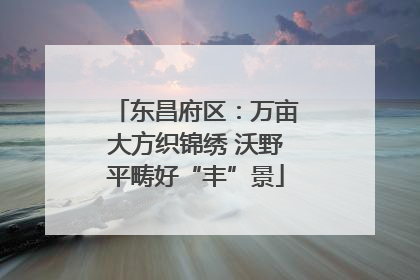 东昌府区：万亩大方织锦绣 沃野平畴好“丰”景