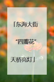 东海大街“四瓣花”天桥亮灯