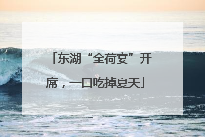 东湖“全荷宴”开席，一口吃掉夏天