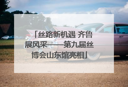 丝路新机遇 齐鲁展风采——第九届丝博会山东馆亮相