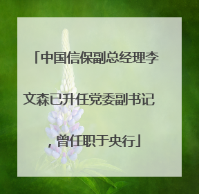 中国信保副总经理李文森已升任党委副书记，曾任职于央行
