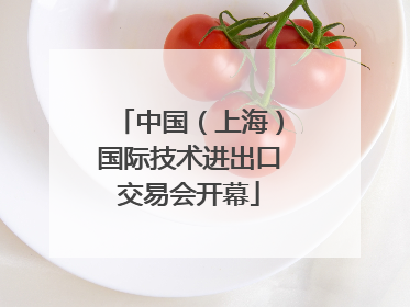 中国（上海）国际技术进出口交易会开幕