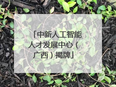 中新人工智能人才发展中心（广西）揭牌