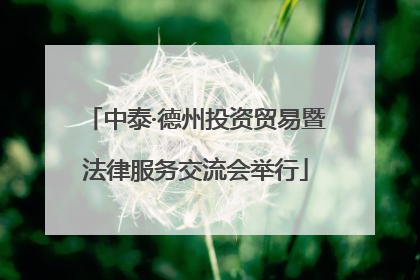 中泰·德州投资贸易暨法律服务交流会举行