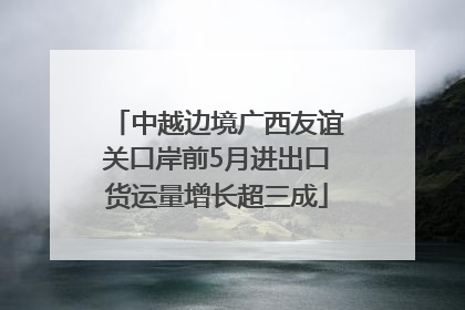 中越边境广西友谊关口岸前5月进出口货运量增长超三成