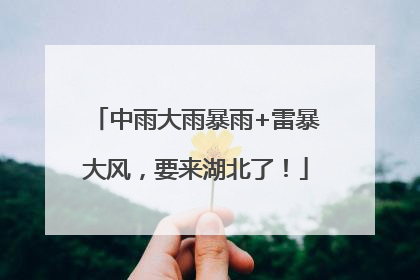 中雨大雨暴雨+雷暴大风，要来湖北了！