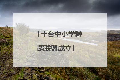 丰台中小学舞蹈联盟成立