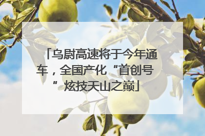 乌尉高速将于今年通车，全国产化“首创号”炫技天山之巅