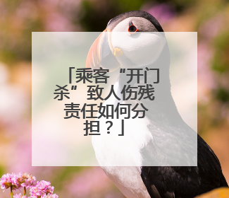 乘客“开门杀”致人伤残 责任如何分担？