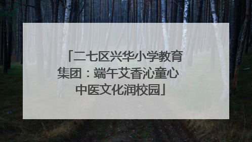 二七区兴华小学教育集团：端午艾香沁童心 中医文化润校园