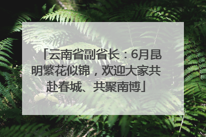 云南省副省长：6月昆明繁花似锦，欢迎大家共赴春城、共聚南博