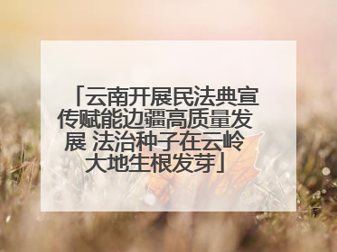 云南开展民法典宣传赋能边疆高质量发展 法治种子在云岭大地生根发芽