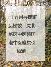 五月寻槐邂逅怪坡，沈北新区中医院国潮中医雅集引热潮