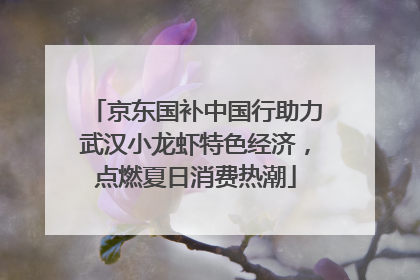 京东国补中国行助力武汉小龙虾特色经济，点燃夏日消费热潮