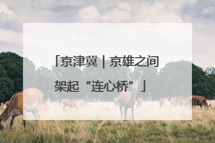 京津冀｜京雄之间架起“连心桥”