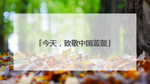 今天，致敬中国蓝盔