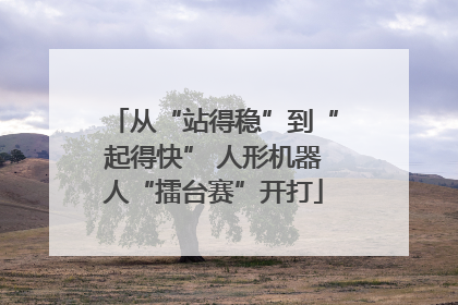 从“站得稳”到“起得快” 人形机器人“擂台赛”开打