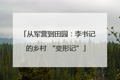 从军营到田园：李书记的乡村 “变形记”
